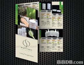 螢火蟲制作公司 多媒體設計服務引領創意未來